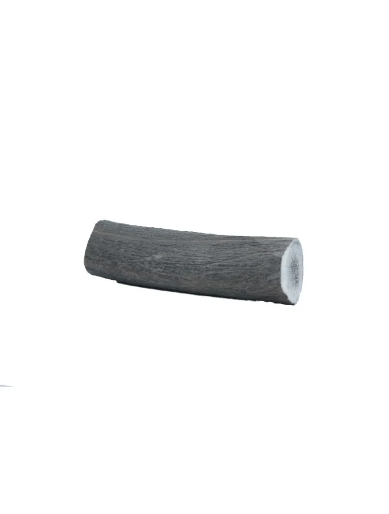 Hirschgeweih – Geweih – groß, 100–150 g