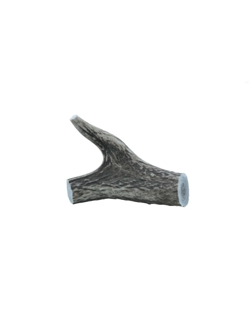 Hirschgeweih – Geweih – groß, 100–150 g