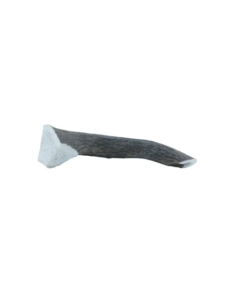 Hirschgeweihe – Geweihe – klein, 50–75 g