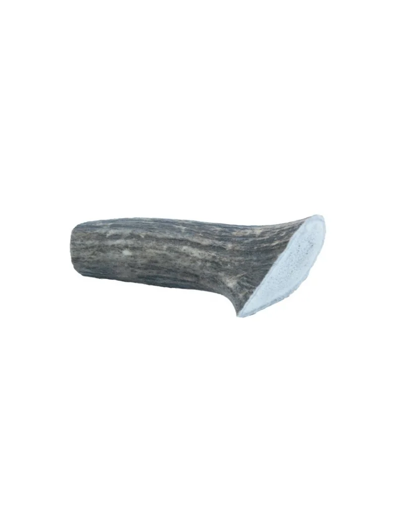 Hirschgeweihe – Geweihe – klein, 50–75 g