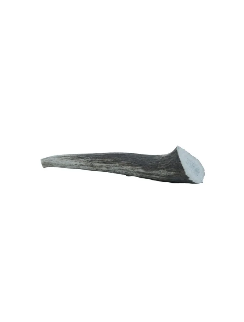 Hirschgeweihe – Geweihe – klein, 50–75 g