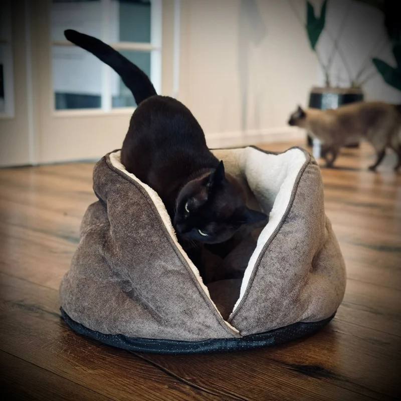 Barkly Luna Katzenbett – Braun