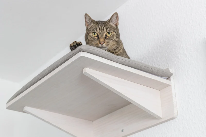 Liegeplatte zur Wandmontage