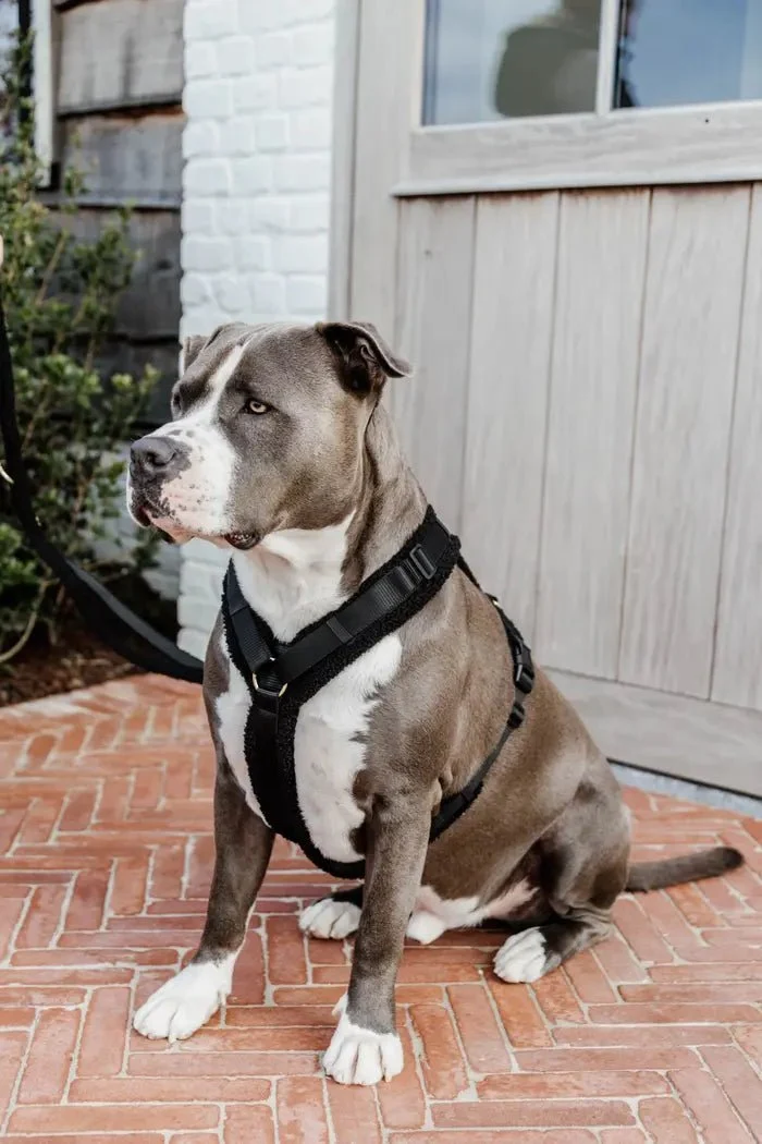 Kentucky Hundegeschirr – „Teddy Fleece“ – Schwarz