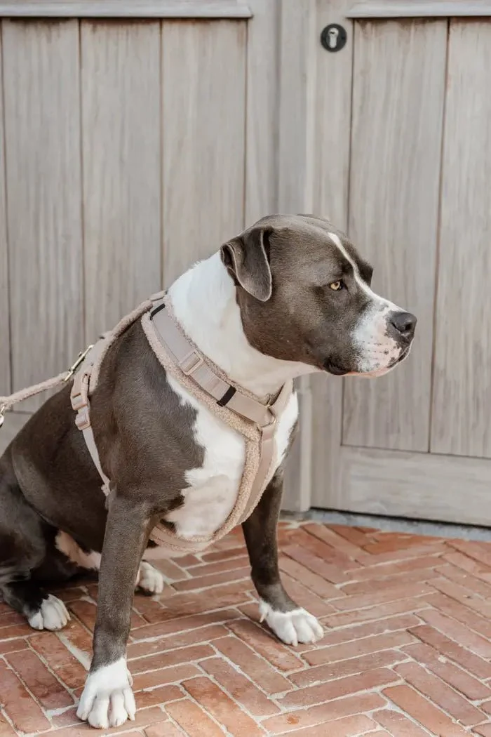 Kentucky Hundegeschirr – „Teddy Fleece“ – Beige