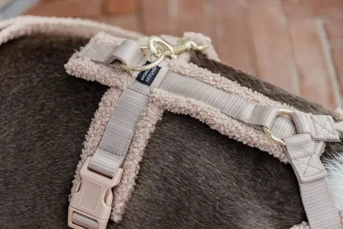 Kentucky Hundegeschirr – „Teddy Fleece“ – Beige