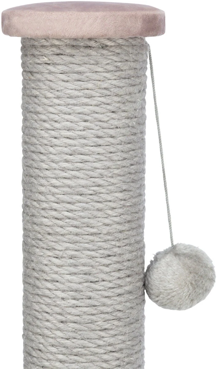 Kratzstamm Livia