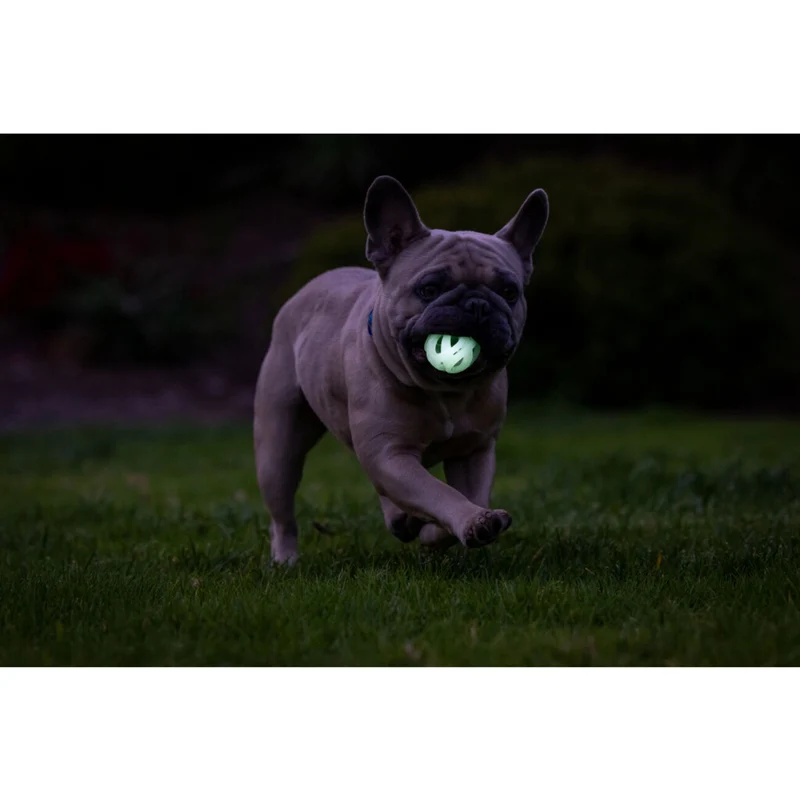 Chuckit! Air Glow Fetch Ball