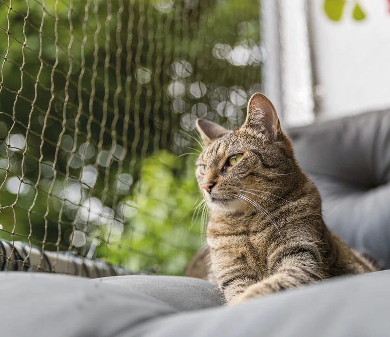 Katzenschutznetz, drahtverstärkt
