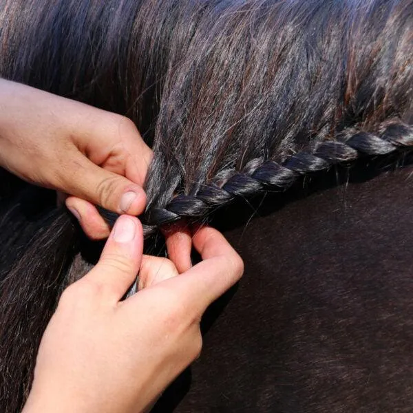 Nathalie Horse Care Zopf für starken Halt