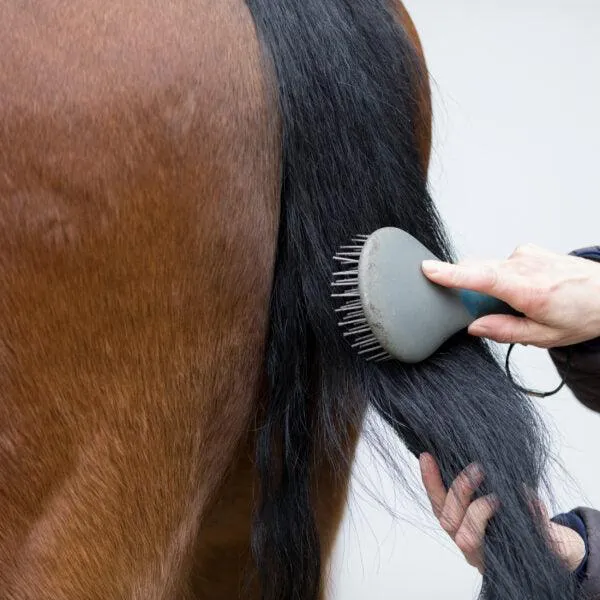 Nathalie Horse Care Easy Mähnen- und Schweifspray - 750 ml