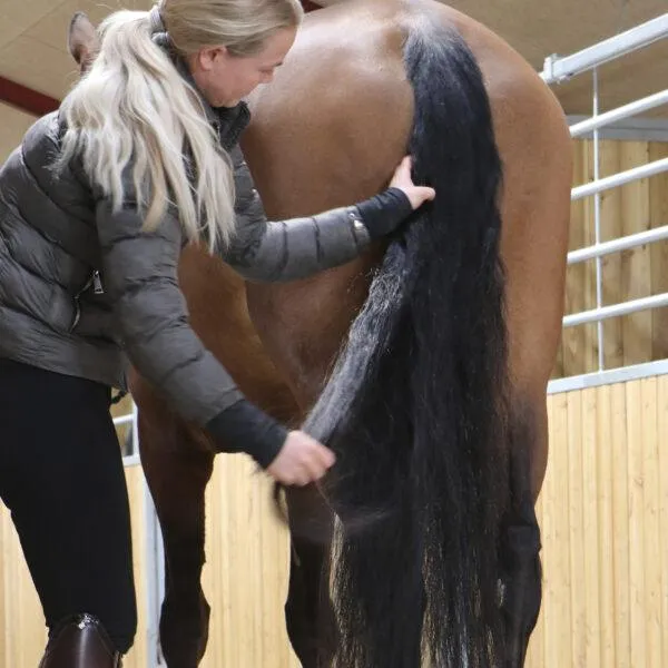 Nathalie Horse Care Easy Mähne & Schweif Gel