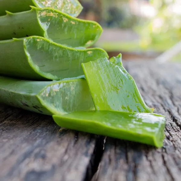 Nathalie Horse Care Aloe Vera Gel
