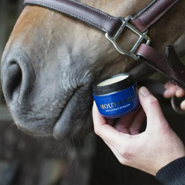 Nathalie Horse Care – „Mouth Fix“ – Wunden im Mund