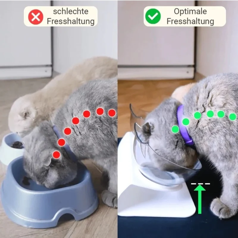 Ergonomische Futternapf für Katzen - 2 Stück aus Edelstahl " Rosa "