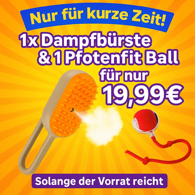 "Spar Hammer" 3 in 1 Katzen Dampfbürste & 1 x Pfotenfit " Katzen Spielball "