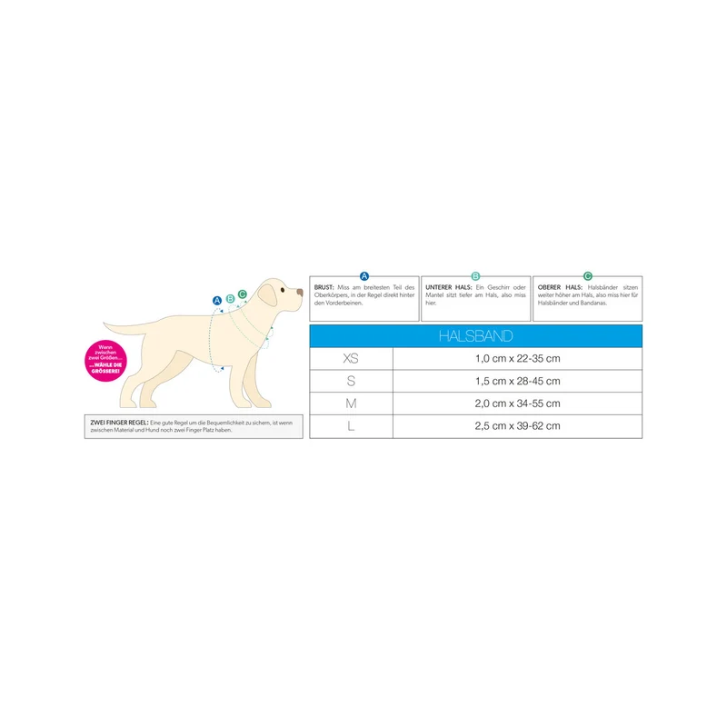 Smart ID Hundehalsband Matrix 2.0 Turquoise