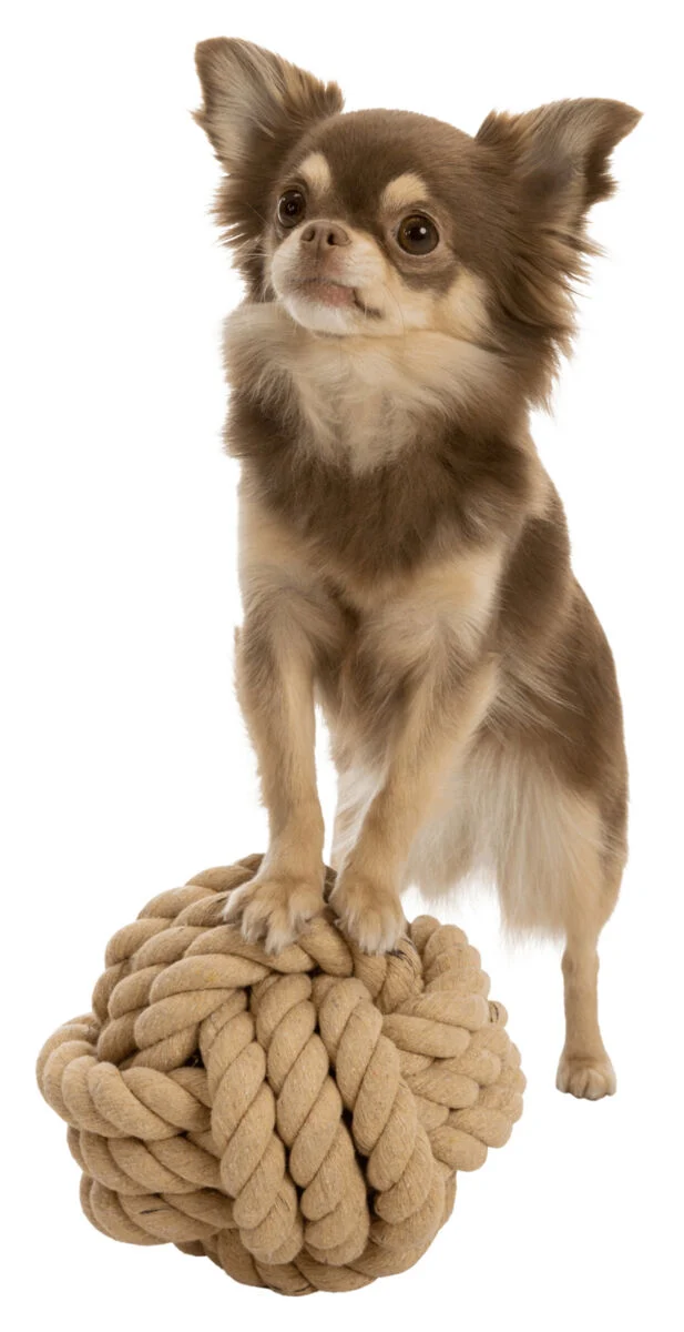 BE NORDIC Tau-Ball für Hunde