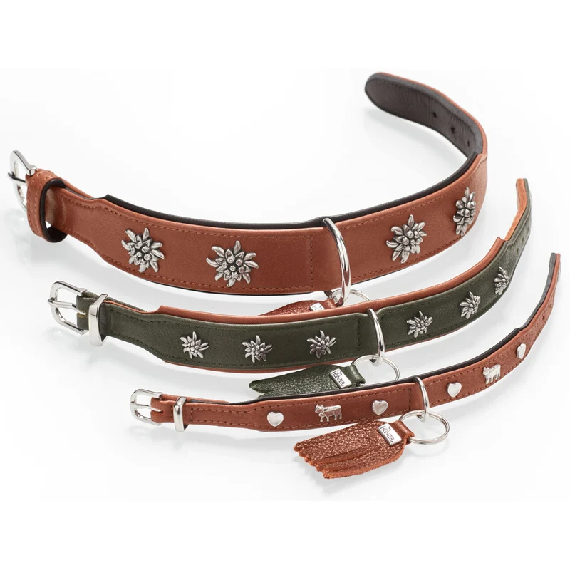 Halsband München für Hunde