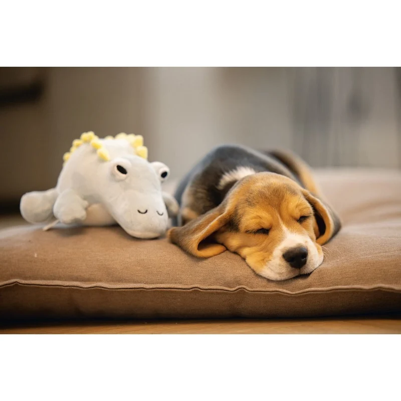 Puppy Dinosaurier Vince Hundespielzeug