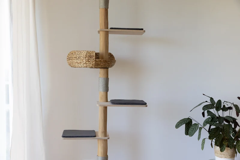 NUDE SKY – Deckenhoher Kratzbaum XXL aus Naturstamm