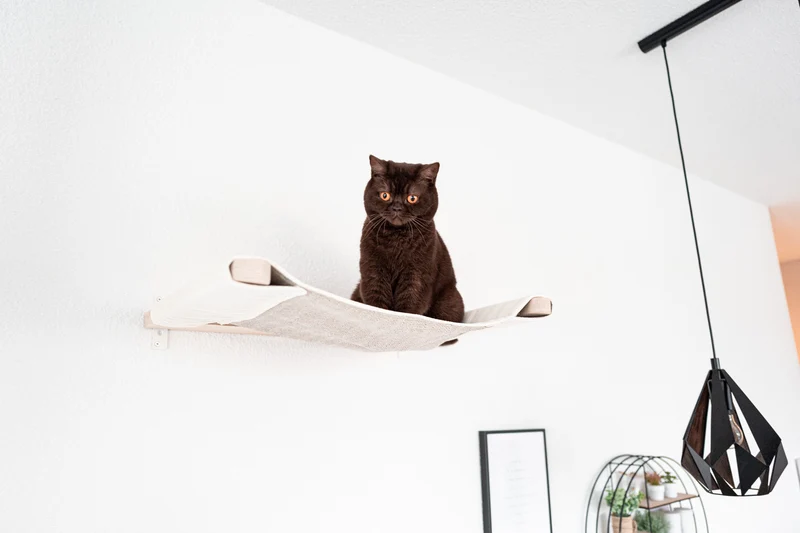 CADO – Katzen-Hängematte für die Wand