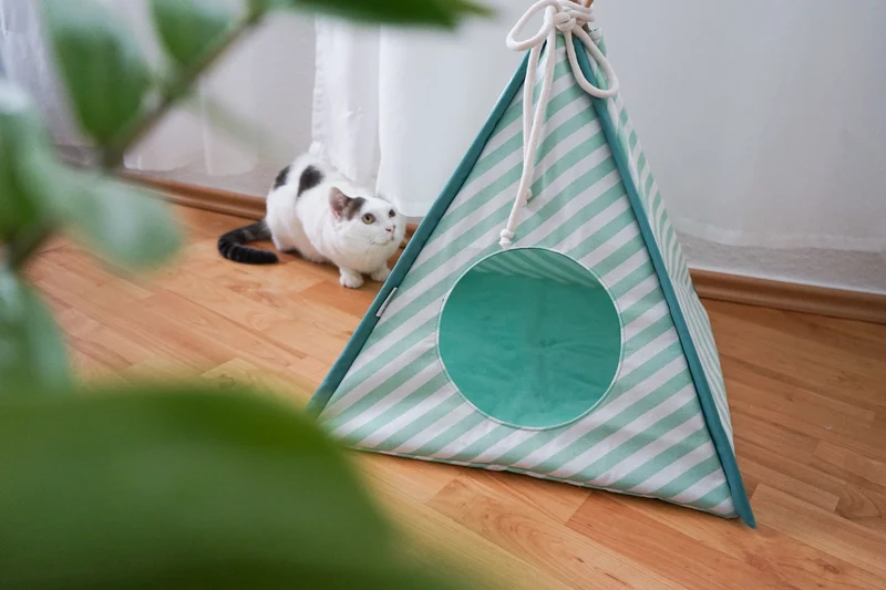 CAMP – Katzenzelt aus Birke