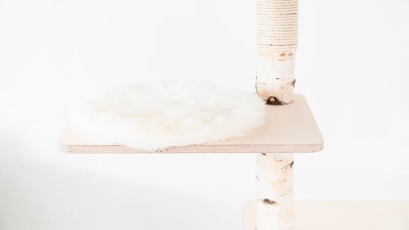 COZY FELL – Veganes Fell für Katzen