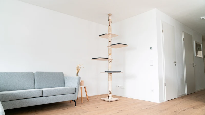 PURE SKY – Deckenhoher Kratzbaum XXL aus Birke