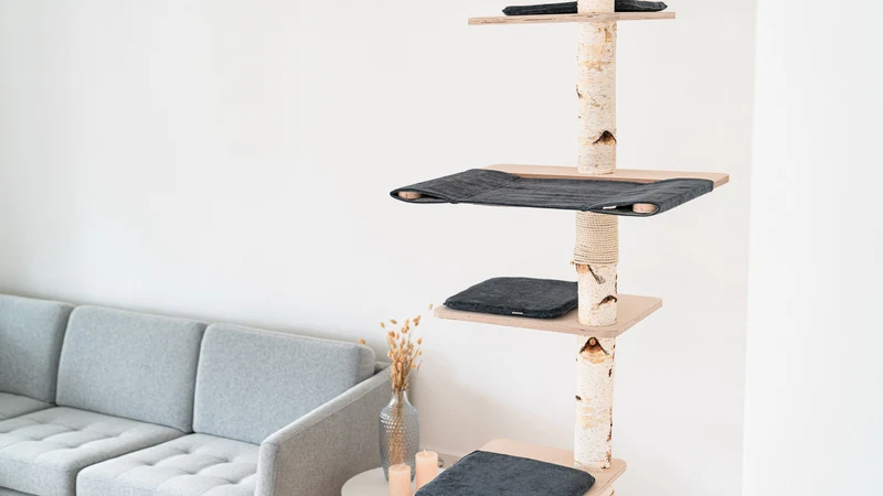 PURE SKY – Deckenhoher Kratzbaum XXL aus Birke