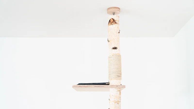 PURE SKY – Deckenhoher Kratzbaum XXL aus Birke