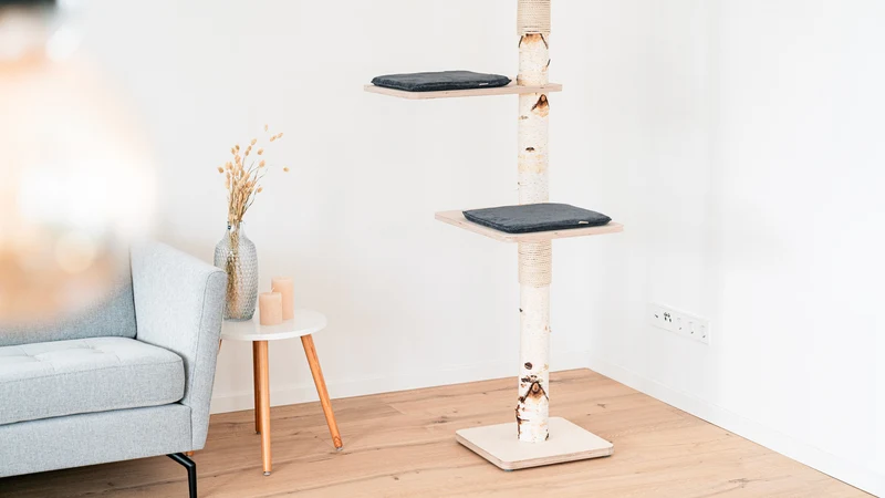 PURE SKY – Deckenhoher Kratzbaum XXL aus Birke
