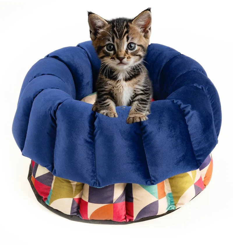 Katzenbett Los Angeles "Michaela"