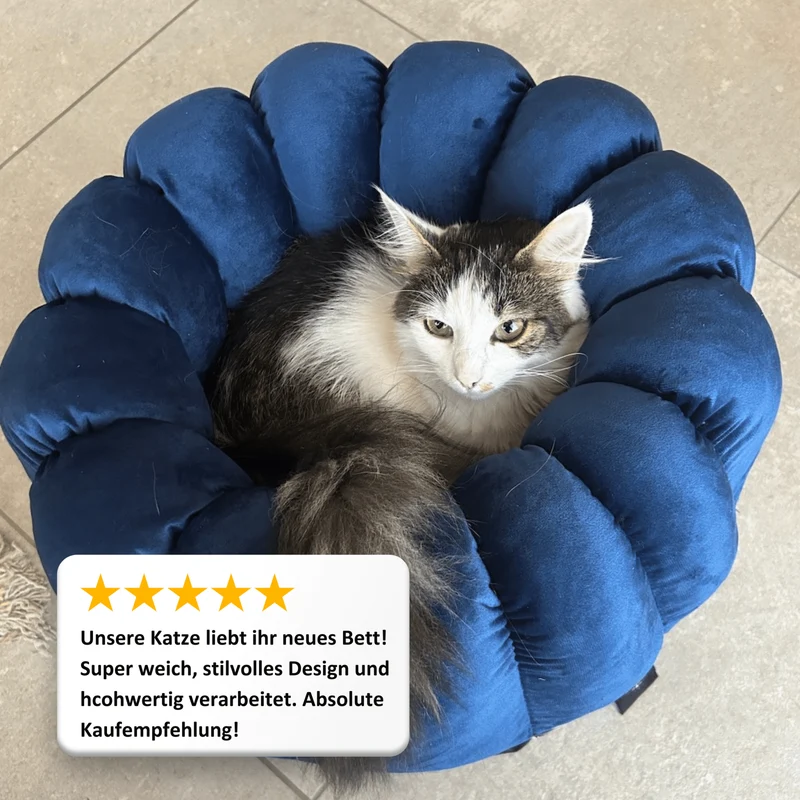 Katzenbett Los Angeles "Michaela"