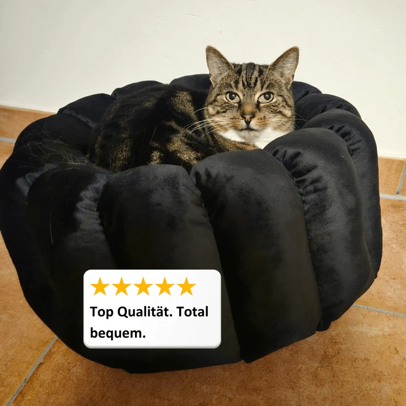 Katzenbett Los Angeles "Ilse"