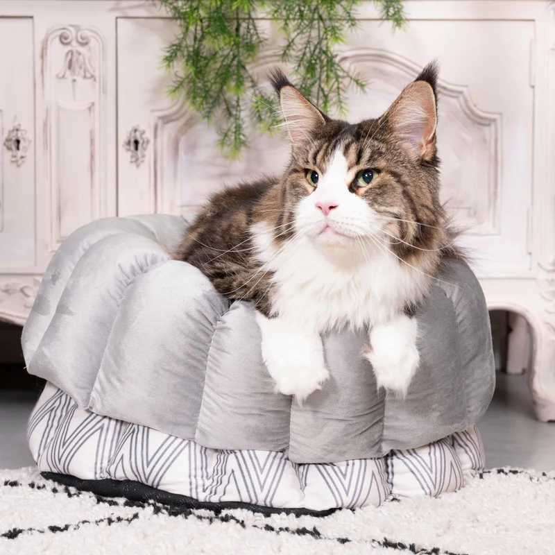 Katzenbett Los Angeles "Ruby"