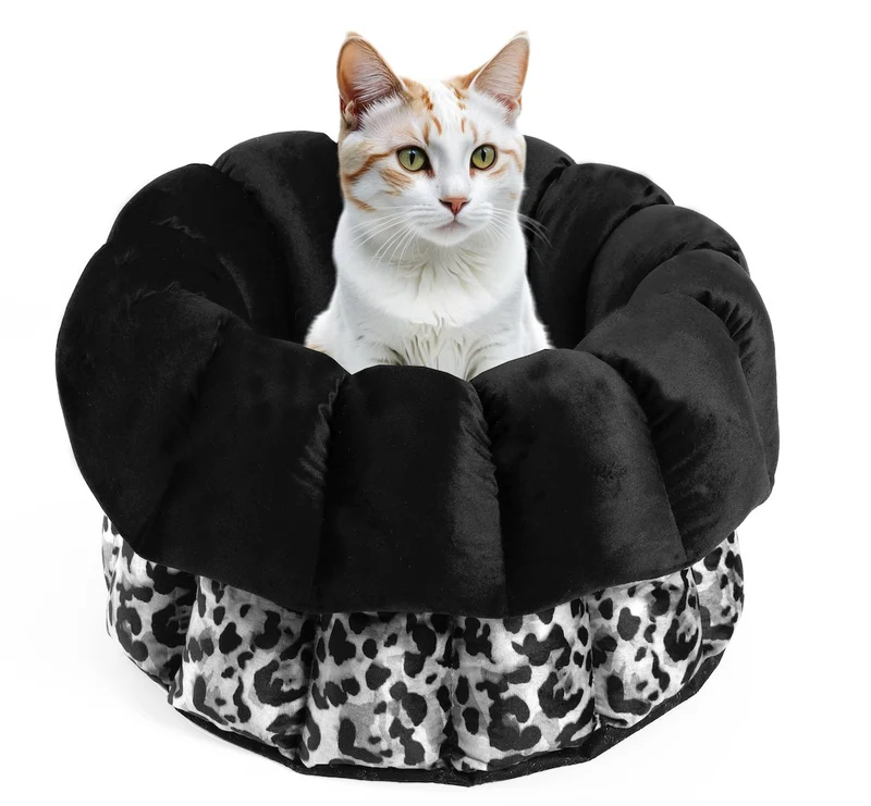 Katzenbett Los Angeles "Claudelle"