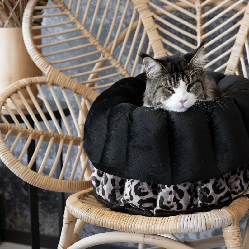 Katzenbett Los Angeles "Claudelle"