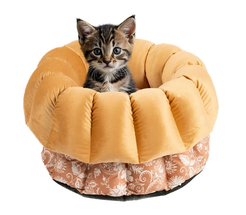Katzenbett Los Angeles "Emmelie"