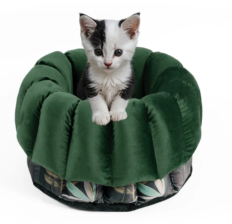 Katzenbett Los Angeles "Max"