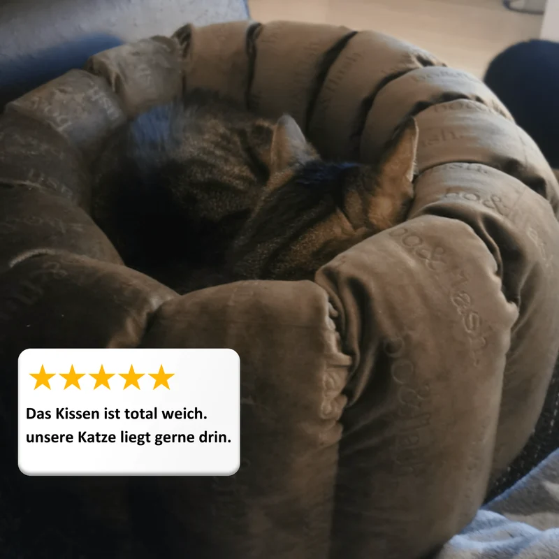 Katzenbett Los Angeles "Max"