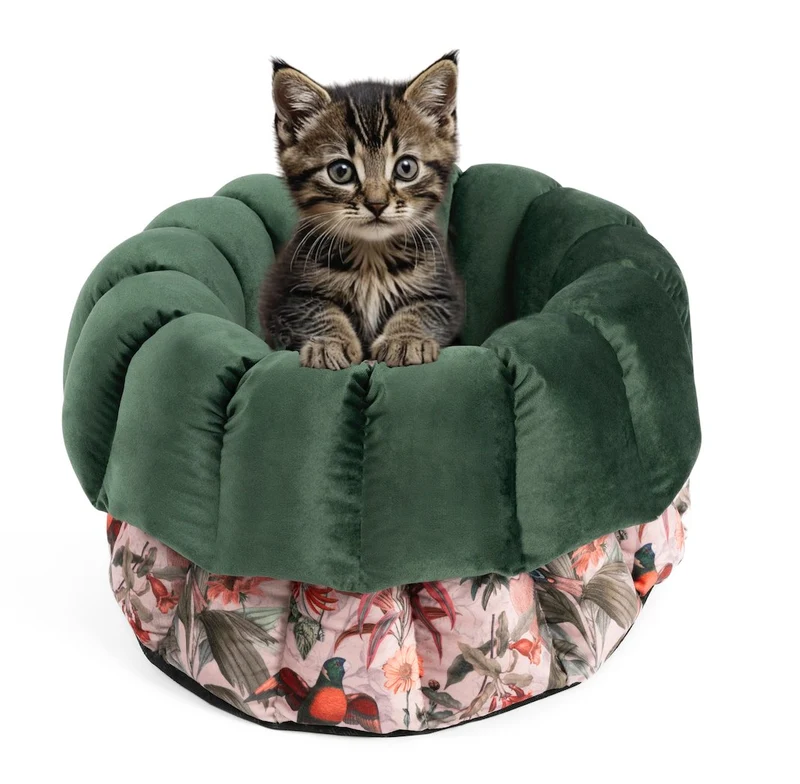 Katzenbett Los Angeles "Elodie"