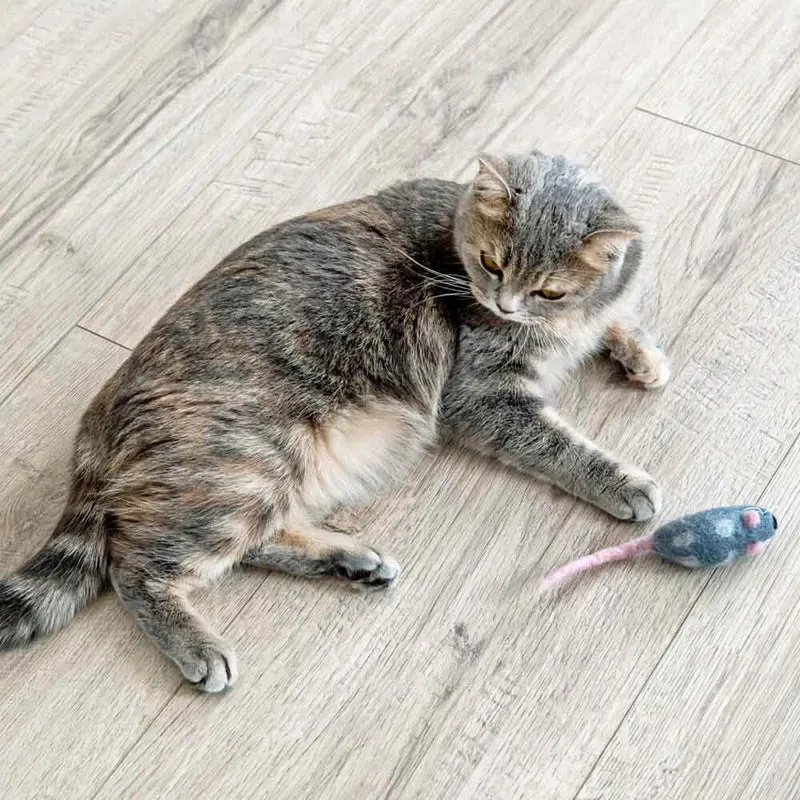 Filzmaus 4er Pack - Katzenspielzeug Naturprodukt