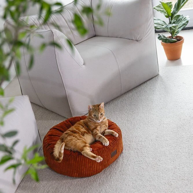 Katzenbett gerippt