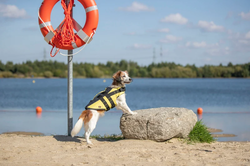 Schwimmweste für Hunde mit Reflektorstreifen und Griff