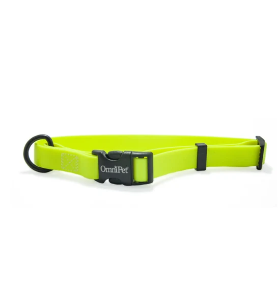 Omnipet Carnival Collar 14-20"