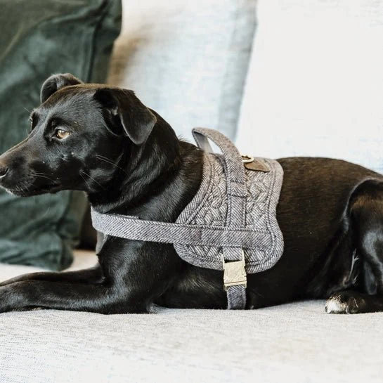 Kentucky Dog - Geschirr - Geschirr Body Safe Wool - Grau