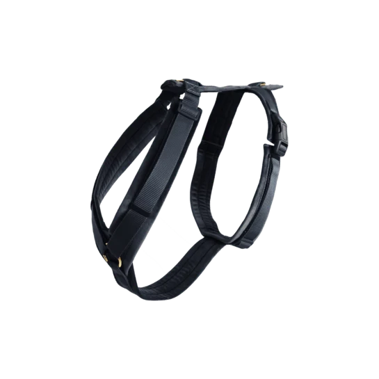 Kentucky Hundegeschirr Active Velvet - Schwarz
