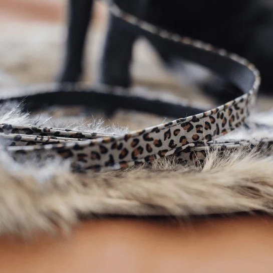 Kentucky Hundeleine Leopard - Grau - 120 cm