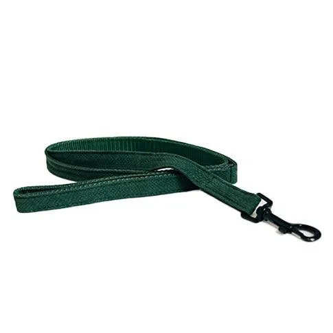Kentucky Hundeleine Eidechse - Grün - 120 cm